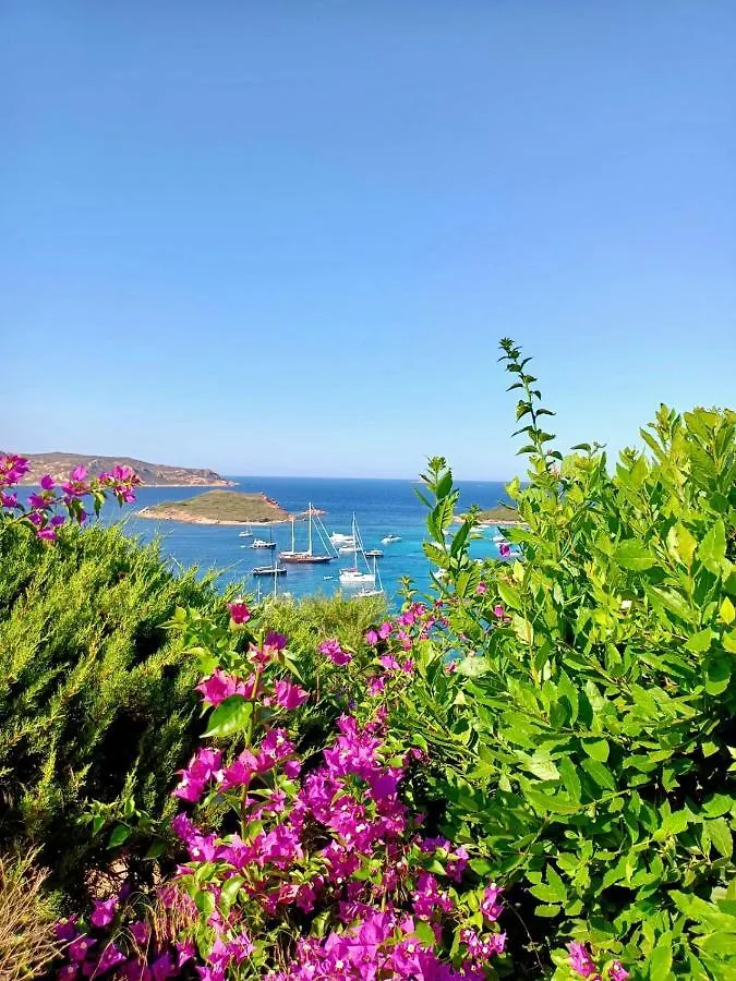 San Teodoro Punta Est Fantastico Trilocale Vista Mare Apartment Capo Coda Cavallo